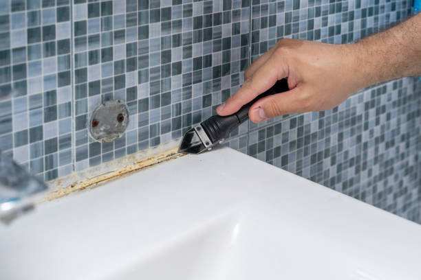 Best Attic Mold Removal  in Fairbanks Ranch, CA