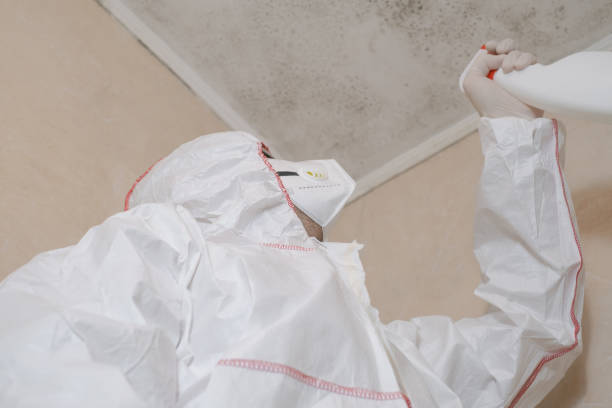 Water Damage Restoration in Fairbanks Ranch, CA